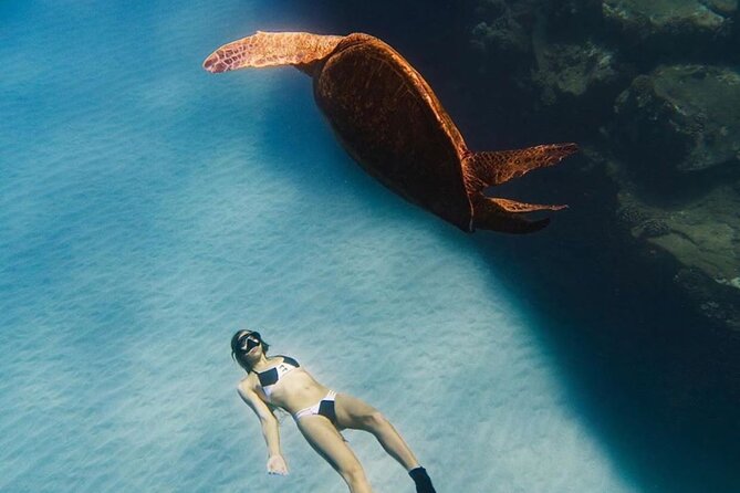 Guided Snorkeling for Beginners With Flotation Wetsuit - Safety Considerations for Travelers