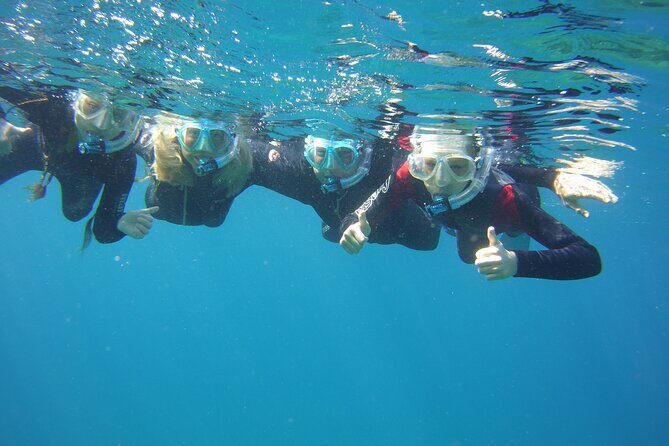 Guided Snorkelling Experience in South of Gran Canaria - What the Tour Entails: A Detailed Look