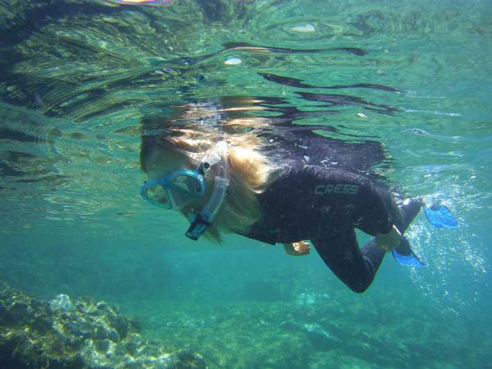 Guided Snorkelling Experience in South of Gran Canaria - Key Points