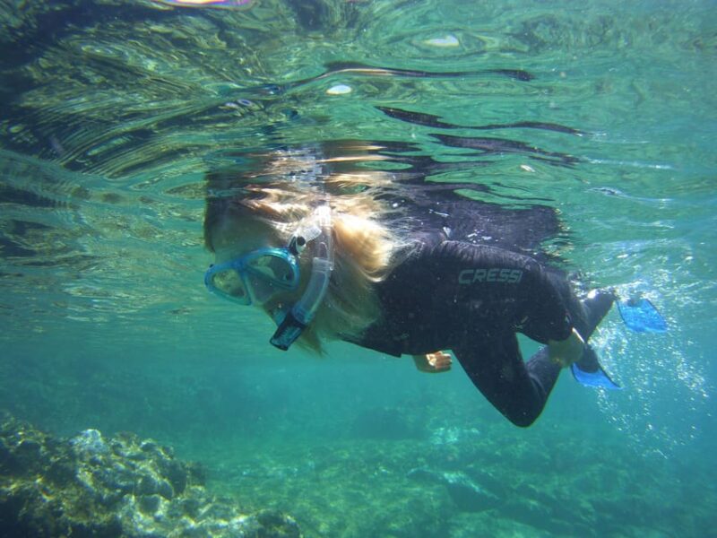 Guided Snorkelling Experience in South of Gran Canaria - Pickup and Drop-off Locations