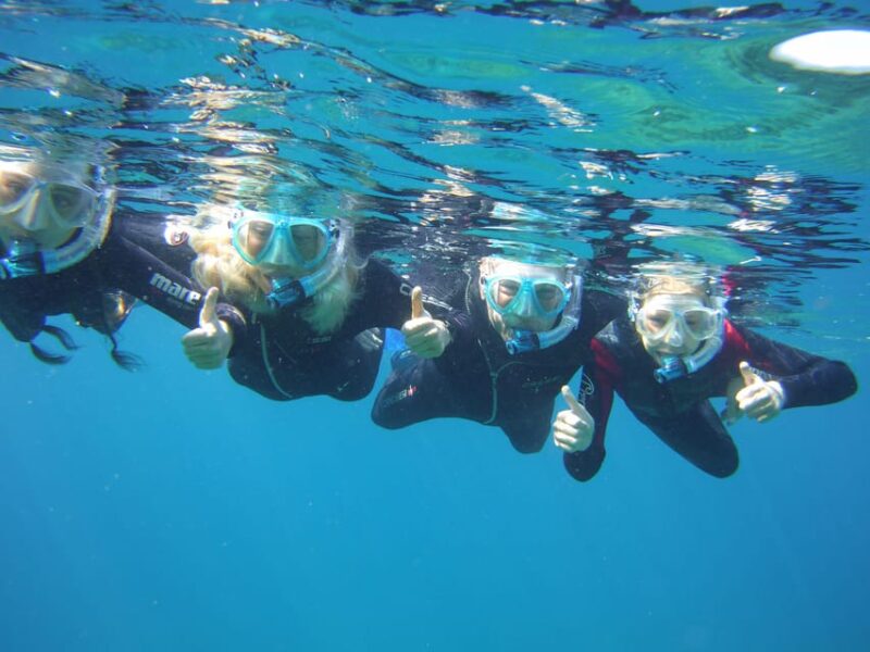 Guided Snorkelling Experience in South of Gran Canaria - Snorkeling Equipment and Inclusions