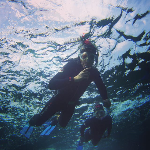 Guided Snorkelling Experience in South of Gran Canaria - What to Bring and Prepare