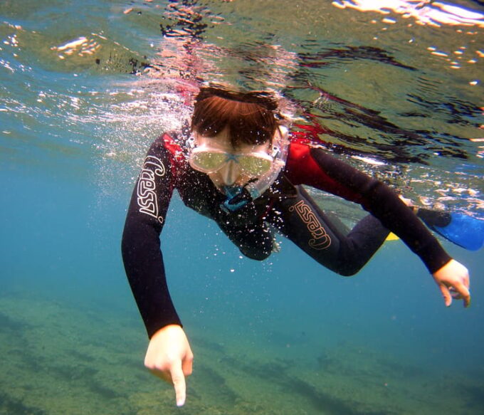 Guided Snorkelling Experience in South of Gran Canaria - Language Support and Accessibility
