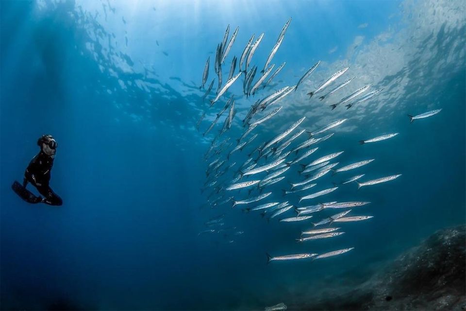 Guided Snorkelling With a Marine Biologist From Sorrento - Meeting Point for the Tour