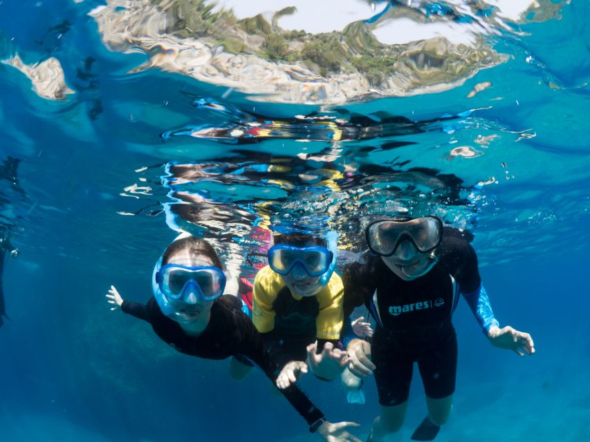 Guided Snorkelling With a Marine Biologist From Sorrento - Frequently Asked Questions