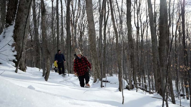 Guided Snowshoe Tour in Mont-Tremblant - An In-Depth Look at the Snowshoe Adventure