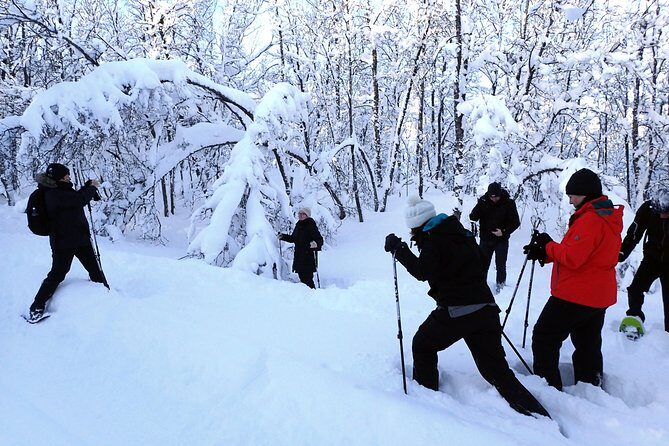 Guided Snowshoe Walk on Tromsoya Island in Tromso - An In-Depth Look at the Tromsoya Island Snowshoe Tour