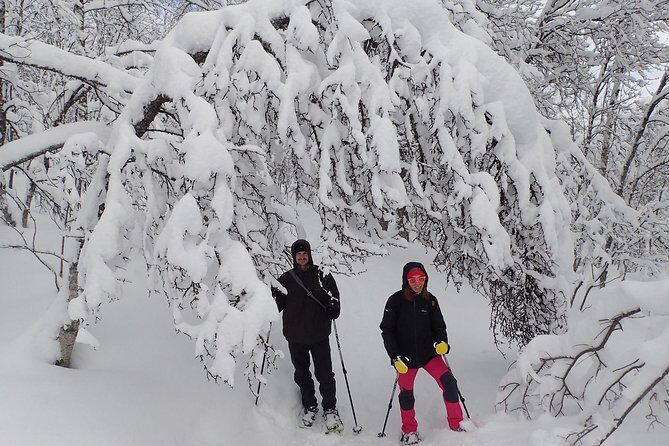 Guided Snowshoe Walk on Tromsoya Island in Tromso - FAQs