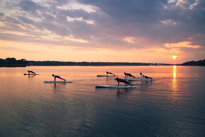 Guided Stand Up Paddleboarding Activity in Hilton Head Island - What You Can Expect from This Hilton Head SUP Tour
