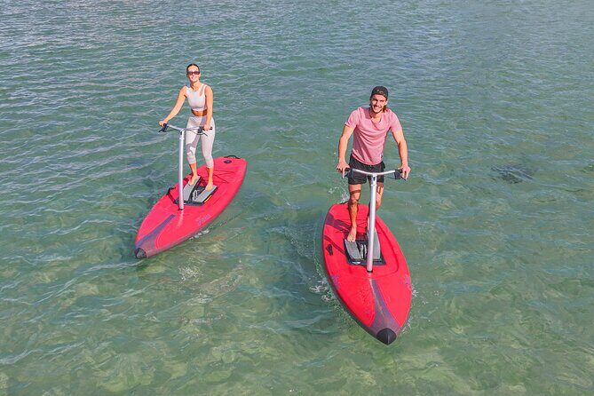 Guided Step-Up Paddle Board Tour of Narrabeen Lagoon - An In-Depth Look at the Tour Experience
