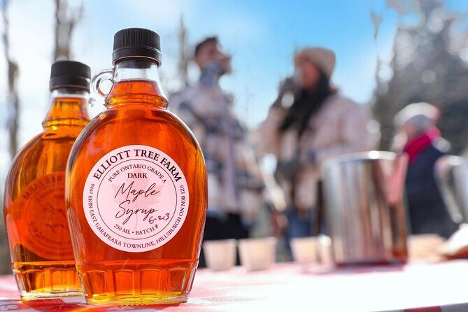 Guided Sugar Bush Tour and Beer Tasting from Toronto - An In-Depth Look at the Tour