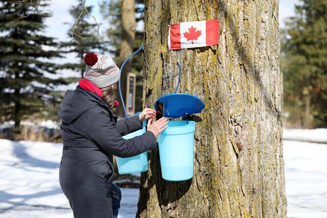 Guided Sugar Bush Tour and Beer Tasting from Toronto - Final Thoughts: A Sweet Canadian Day Out