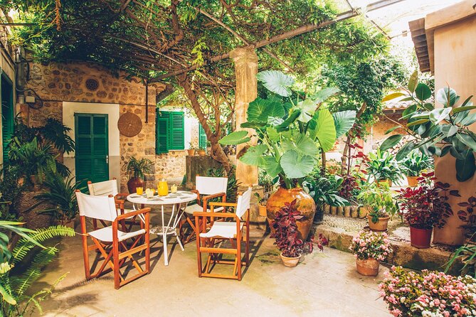 Guided Tasting Tour in 16TH Century House and Olive Oil Factory - Additional Tour Information