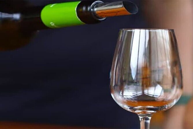 Guided Toboggan Ride and Madeira Wine Tasting Tour - Practical Details and What You Can Expect