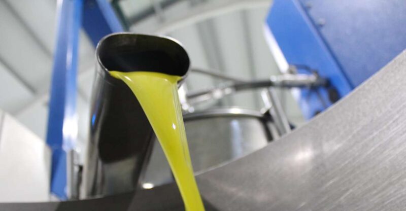 Guided Tour and Oil Tasting at the Aceites Molisur Factory - Tour Accessibility and Language