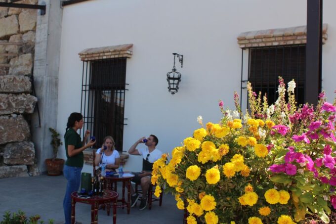Guided Tour and Oil Tasting at the Aceites Molisur Factory - Customer Feedback