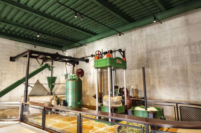 Guided Tour and Oil Tasting at the Aceites Molisur Factory - Olive Oil Production and Tasting