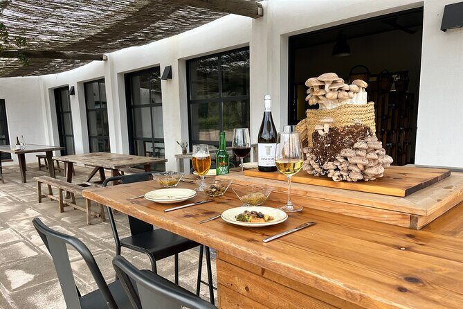 Guided tour and tasting in mushroom cultivation - Key Points