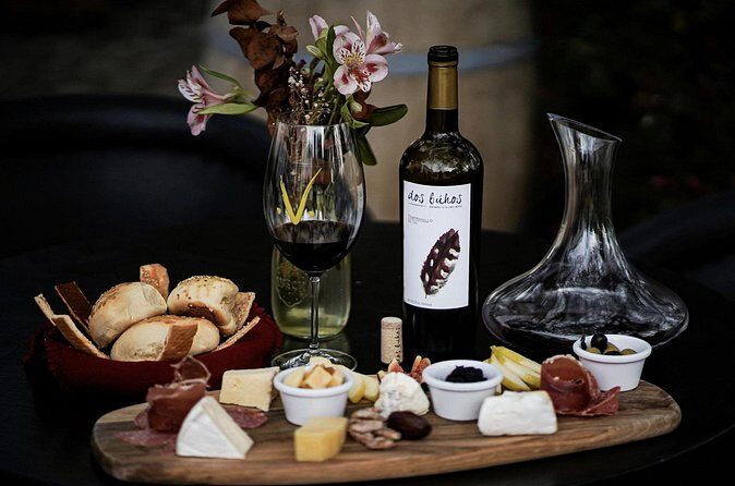 Guided tour and tasting of 4 wines at Viñedo Dos Búhos - Who Should Consider This Tour