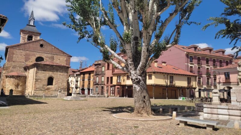 Guided tour around León - A thorough look at the León guided tour