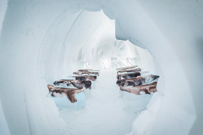 Guided Tour at Arctic Snow Hotel - Reviews Snapshot