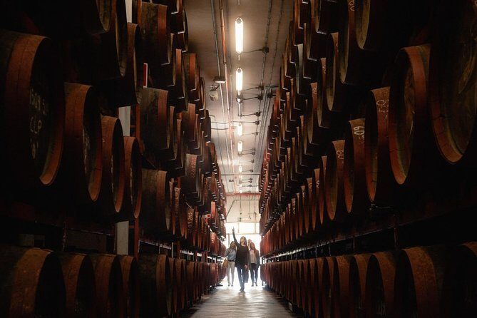 Guided Tour at Ron Arehucas Distillery - The 45-Minute Itinerary in Five Key Stages