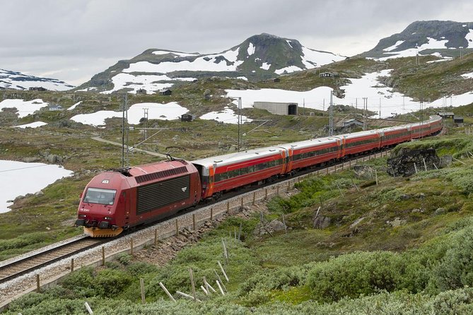 Guided Tour - Bergen Railway, Nærøyfjord Cruise & Flåm Railway - Cancellation Policy and Transportation Access