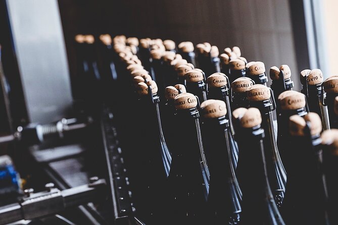 Guided Tour Cleto Chiarli With Lambrusco Tasting - Winery Overview