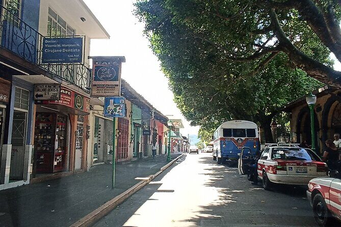 Guided Tour Coatepec Coffee Tour - Practical Info and Tips