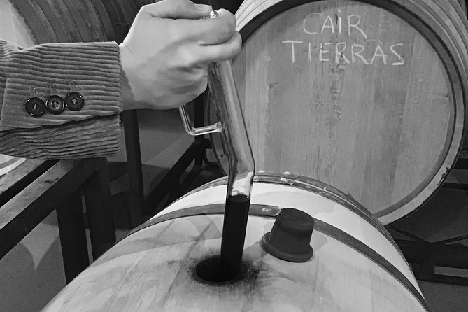 Guided Tour Glass in Hand With Wine Tasting Directly From the Barrel - Exploring the Winerys History