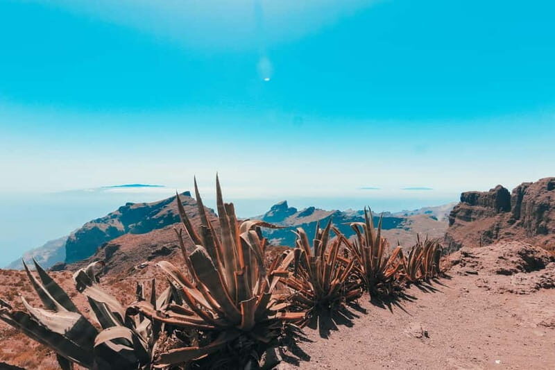 Guided tour guide through Roques de Garcia - Teide National Park - Exploring Teide National Park: A Guided Walk Through Volcanic Majesty