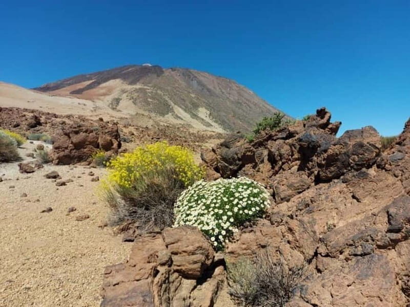Guided tour guide through Roques de Garcia - Teide National Park - The Sum Up: Is This Tour Right for You?