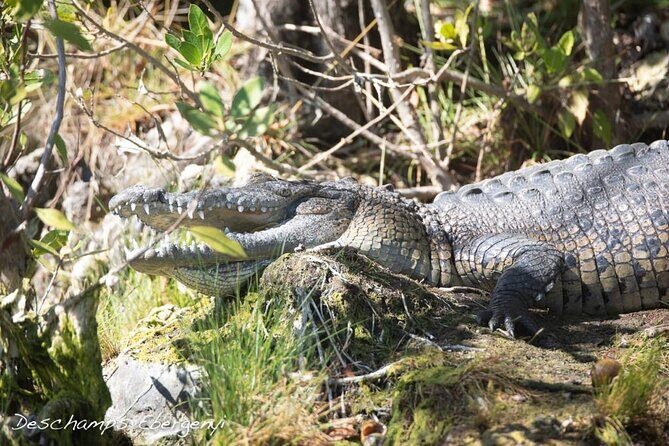 Guided Tour in Sian Ka'an Flora and Fauna Reserve - Key Points