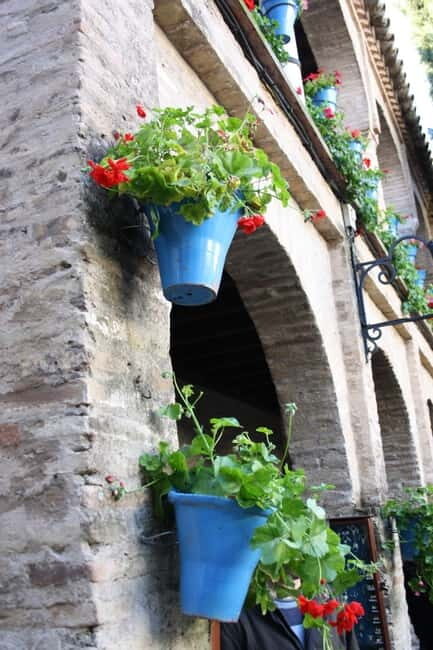 Guided tour in Spanish to the courtyards of Córdoba - Who is this tour for?