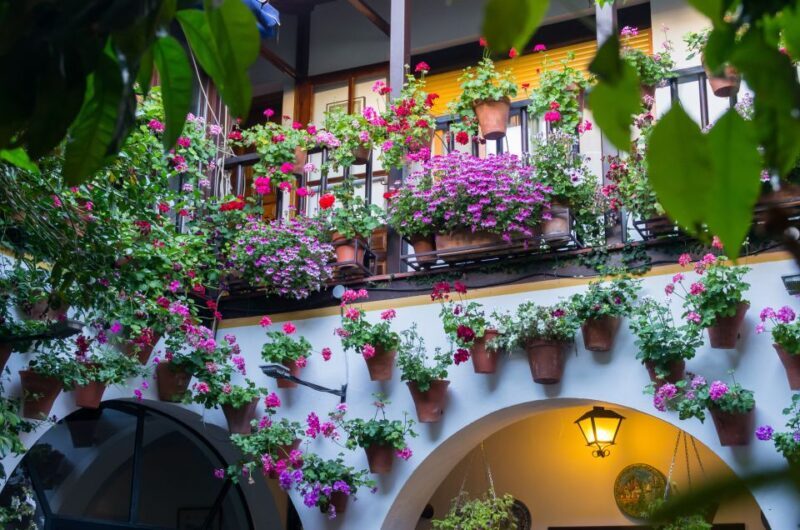 Guided tour in Spanish to the courtyards of Córdoba - Why This Tour Offers Good Value