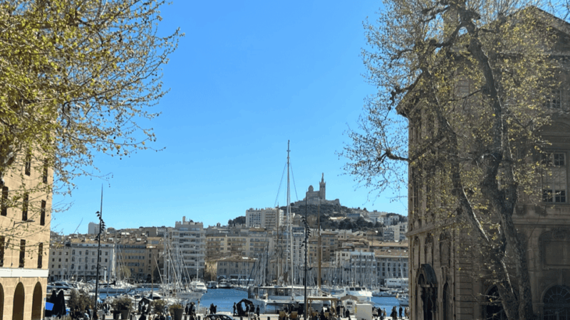 Guided Tour in the Heart of Marseille! - Exploring the Noailles District