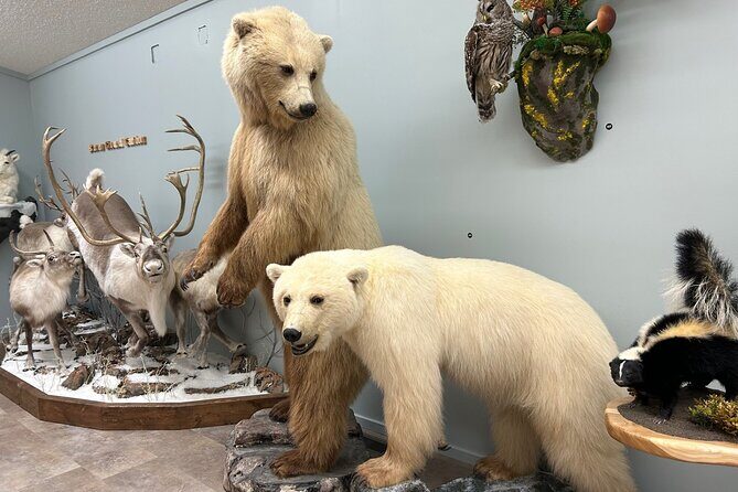 Guided Tour in Wildlife Gallery - Key Points