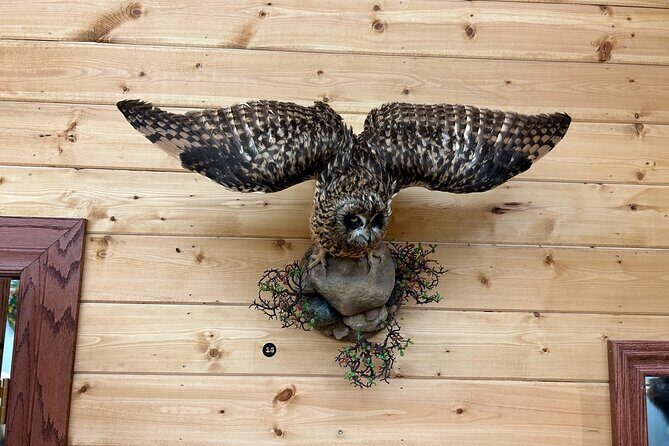 Guided Tour in Wildlife Gallery - Why Price and Timing Matter