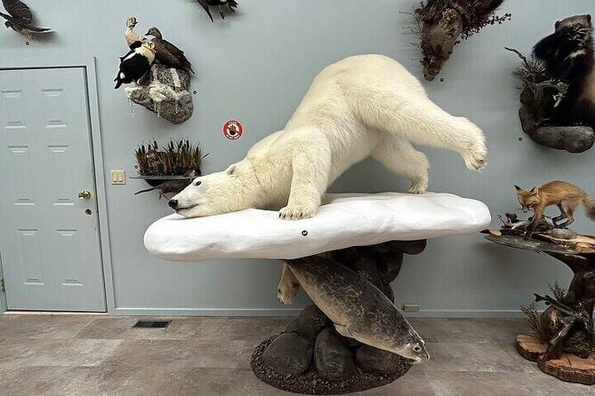 Guided Tour in Wildlife Gallery - Who Will Love This Tour?