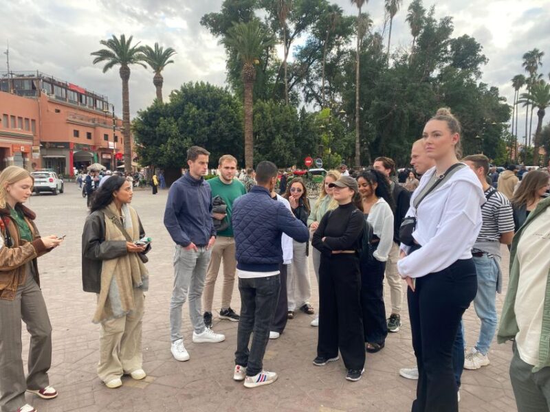 Guided Tour, Majorelle Garden YSL Monument Market & Transfer - Good To Know
