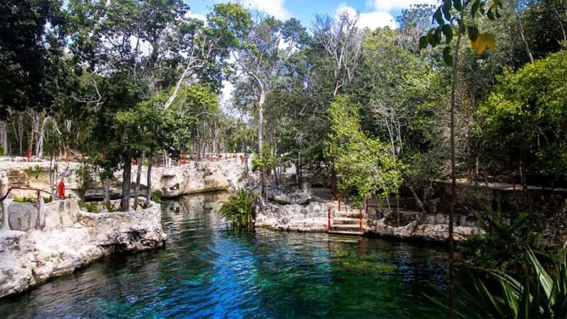 Guided tour of 4 cenotes at Casa Tortugas with transportation and buffet - Exploring the Cenotes of Casa Tortugas: A Practical Guide