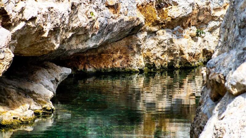 Guided tour of 4 cenotes at Casa Tortugas with transportation and buffet - Detailed Breakdown of Each Cenote