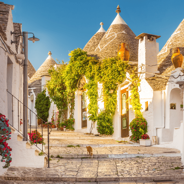 Guided Tour of Alberobello Trulli with Transfer included - Key Points