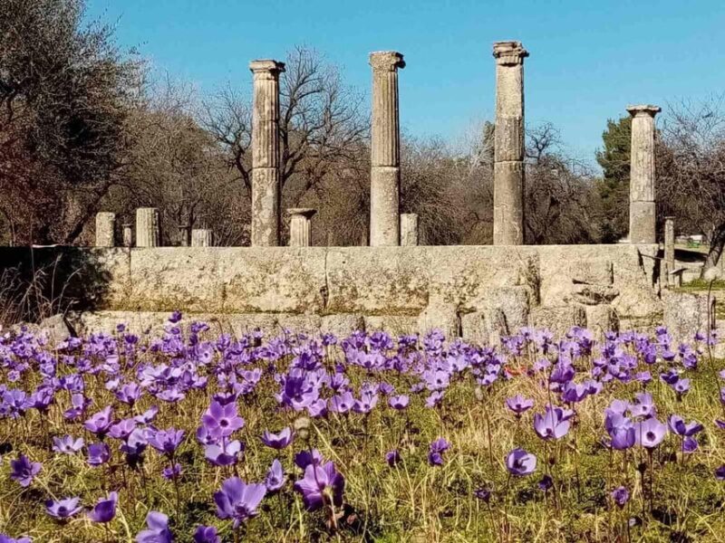 Guided tour of ancient Olympia by an Italian-born guide-archaeologist - Key Points
