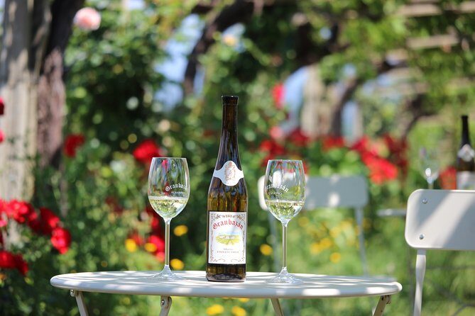 Guided tour of Bodegas Granbazán - Why you should consider this tour