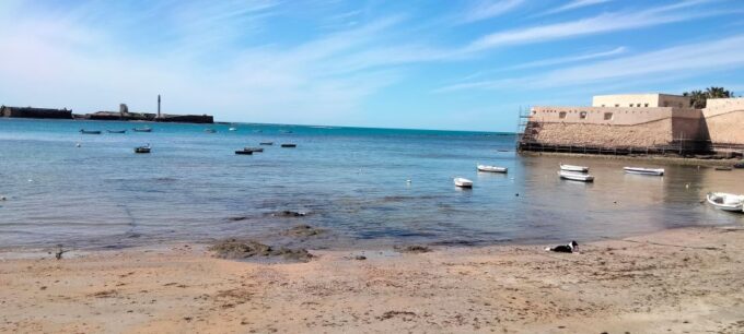 Guided Tour of Cádiz: Stories From a Local Guide - Pricing and Availability