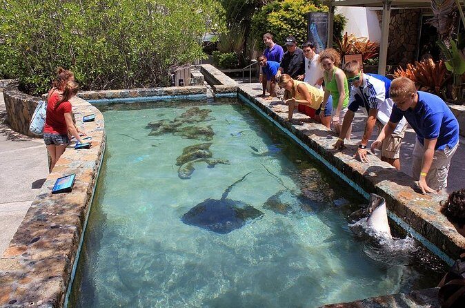 Guided Tour of Coral World Ocean Park & Happy Hour - The Sum Up