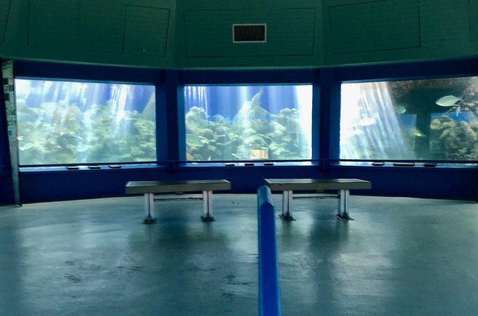 Guided Tour of Coral World Ocean Park & Happy Hour - FAQ