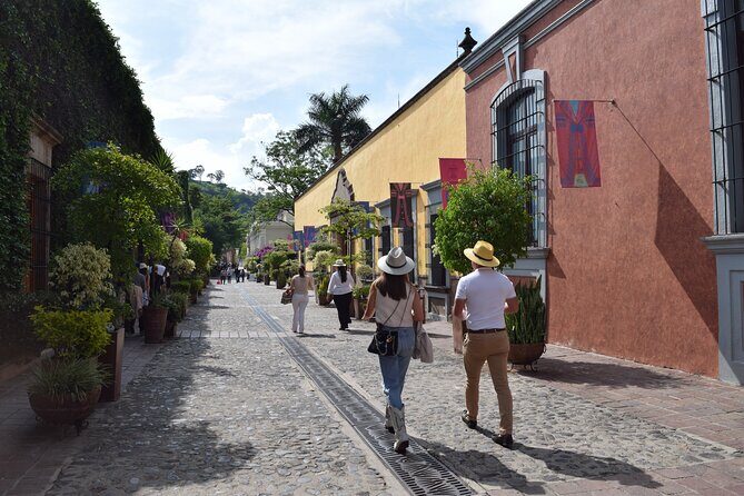 Guided Tour of Guachimontones and Tequila Distillery - Practical Details and Why They Matter