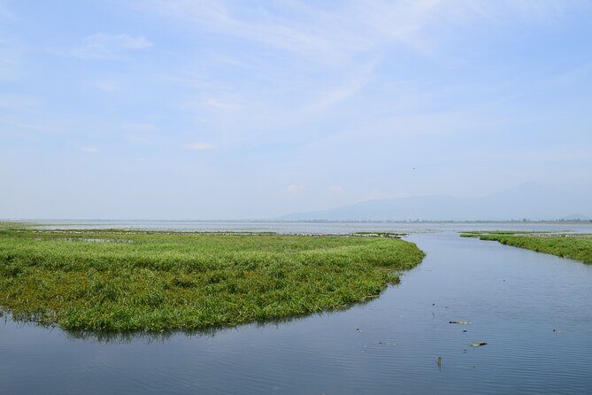 Guided Tour of Guachimontones and Tequila Distillery - Summary: Who Should Consider This Tour?